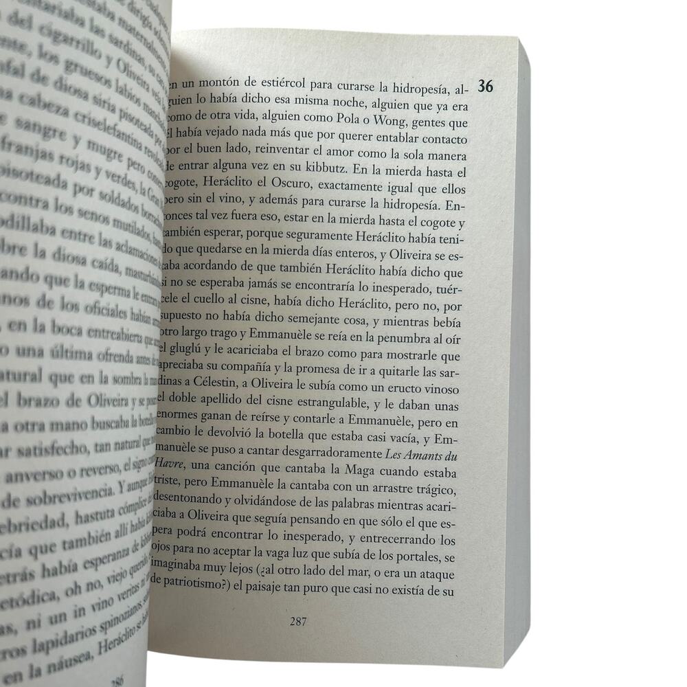 Rayuela by Julio Cortázar Spanish Edition Paperback Novel - Picture 3 of 3
